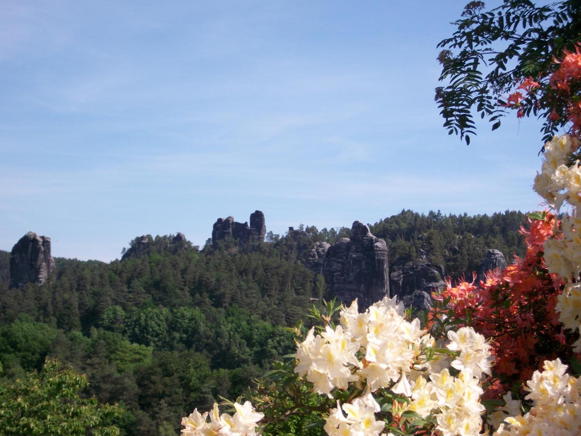 Ferienwohnung Zum Lilienstein Bad Schandau Exterior photo